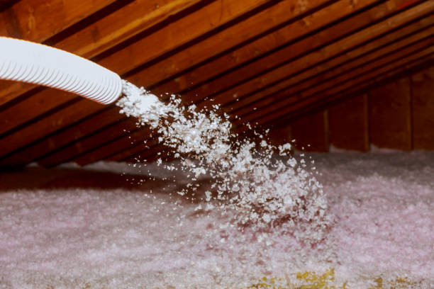 Best Geographic-Specific Insulation Services in Lennox, SD