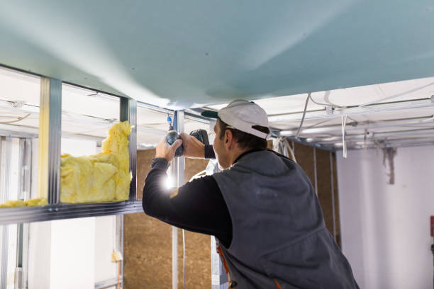 Best Cellulose Insulation in Lennox, SD